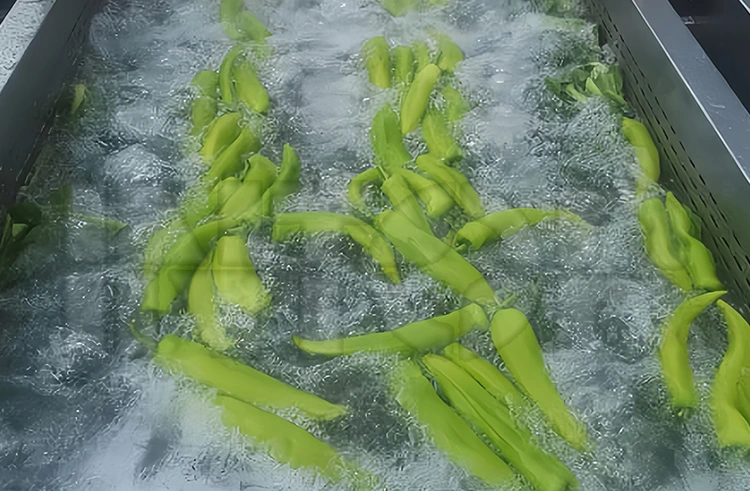 Mikä on lajittelu- ja pesukone? Mikä on lajittelu- ja pesukone?